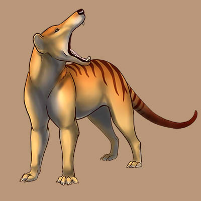 CompanionGoldenThylacine