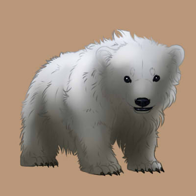 CompanionPolarCaveBearCub