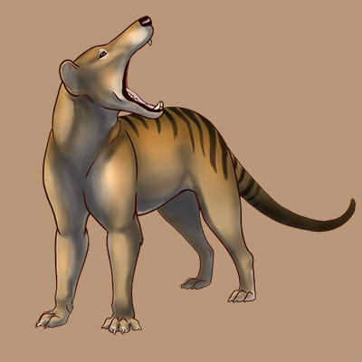 CompanionTawnyThylacine