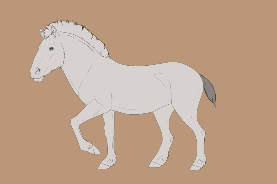 EquusPhysMutationsIlluBobtailV2
