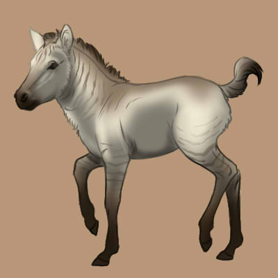 CompanionCreamDunEquusFoal