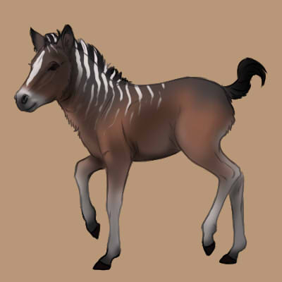 CompanionMoonblessedEquusFoal